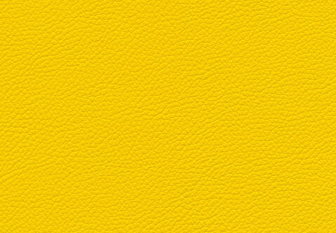 skai Gemini yellow