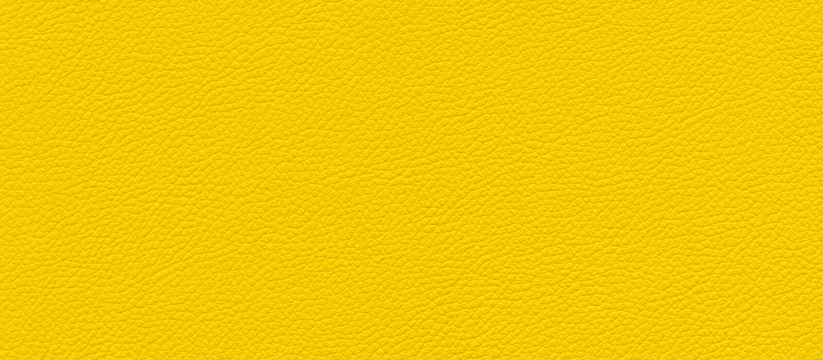 skai Gemini yellow