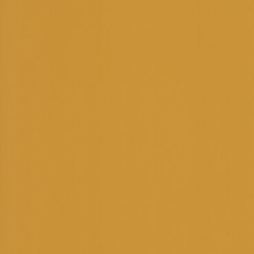 skai® colore classico curry              0,40 1420