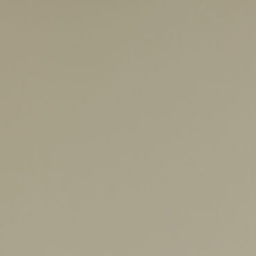 skai® smartline colore classico muschel         0,20 1420