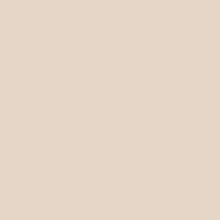 skai® colore classico sandbeige          0,35 1420