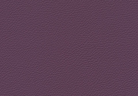 skai Gemini purple