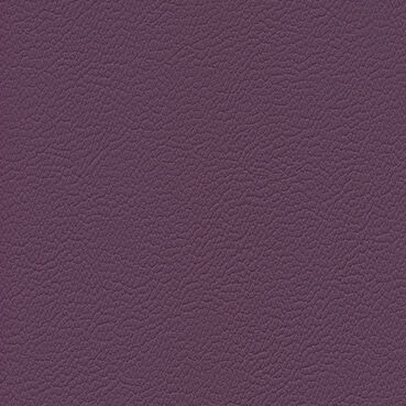 skai® Gemini purple