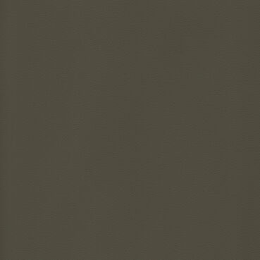 skai® colore classico lava               0,40 1420