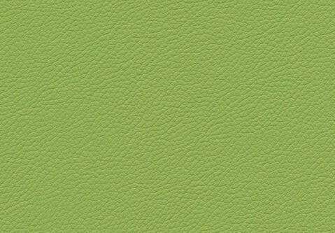 skai Gemini green