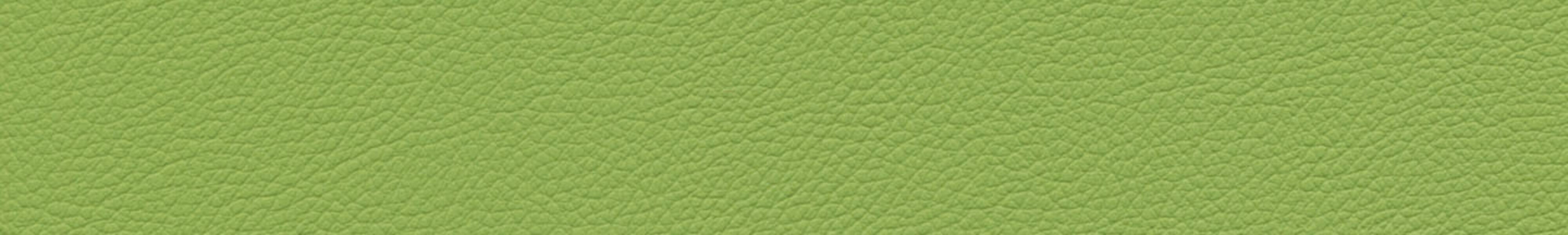 skai® Gemini green