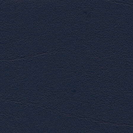 skai Tundra  ocean