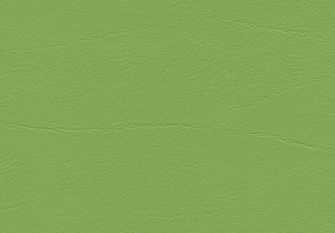 skai Tundra  apfelgrün